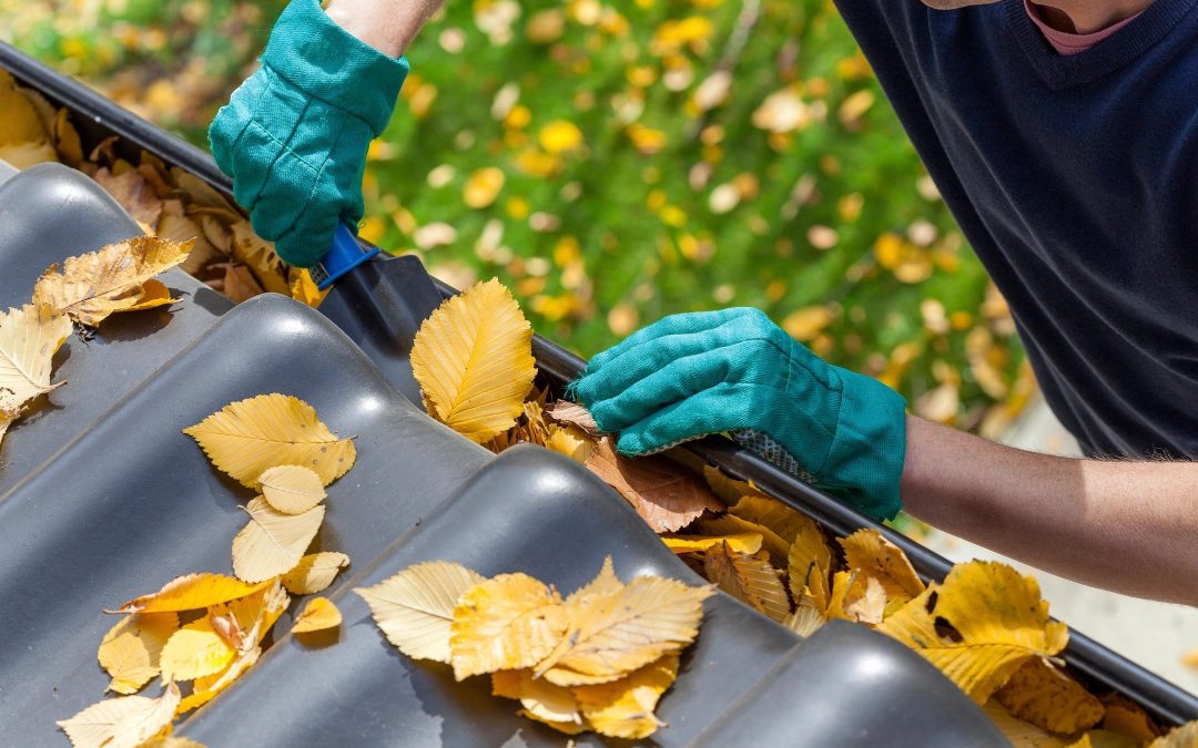 8 Fall Cleaning Tips